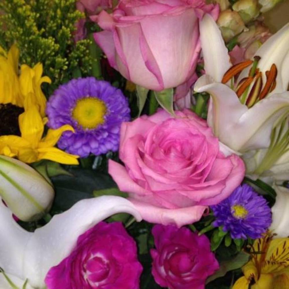 Meet your Posher, Tammi